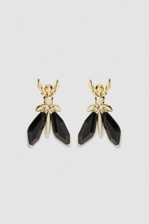 Black Patrizia Pepe Precious Fly Earrings With Stones | ENV309458